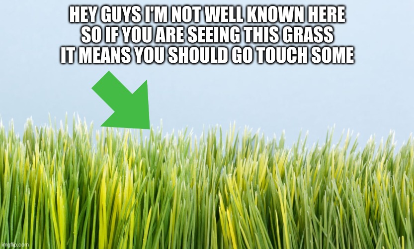 grass | HEY GUYS I'M NOT WELL KNOWN HERE
 SO IF YOU ARE SEEING THIS GRASS 
IT MEANS YOU SHOULD GO TOUCH SOME | image tagged in grass | made w/ Imgflip meme maker