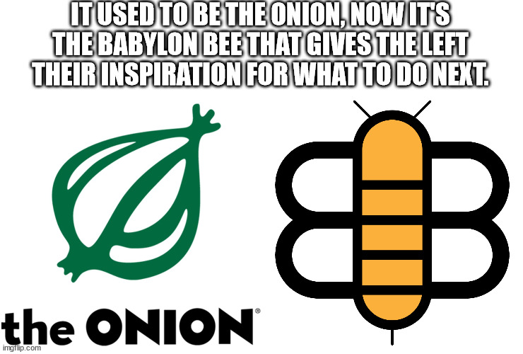 IT USED TO BE THE ONION, NOW IT'S THE BABYLON BEE THAT GIVES THE LEFT THEIR INSPIRATION FOR WHAT TO DO NEXT. | made w/ Imgflip meme maker