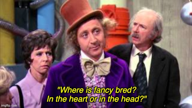Wonka quote | "Where is fancy bred? In the heart or in the head?" | image tagged in willy wonka | made w/ Imgflip meme maker