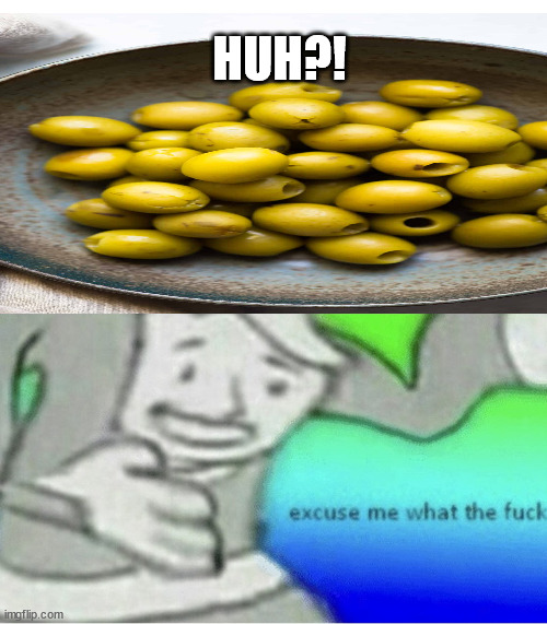 Excuse me wtf blank template | HUH?! | image tagged in excuse me wtf blank template | made w/ Imgflip meme maker