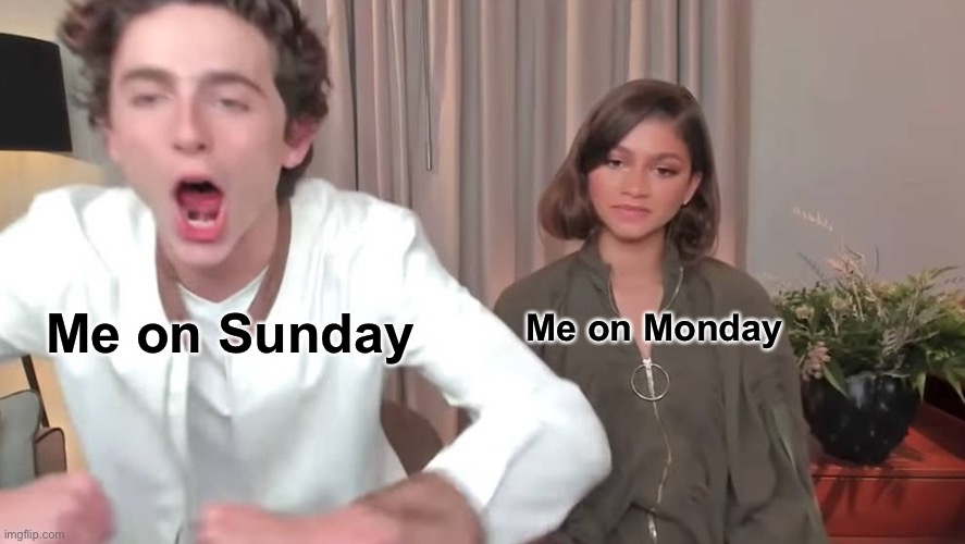 True | Me on Monday; Me on Sunday | image tagged in chalamet zendaya | made w/ Imgflip meme maker