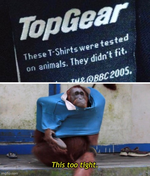 Animal Testing | This too tight. | image tagged in funny memes,animal testing,faashion,stupid jokes | made w/ Imgflip meme maker