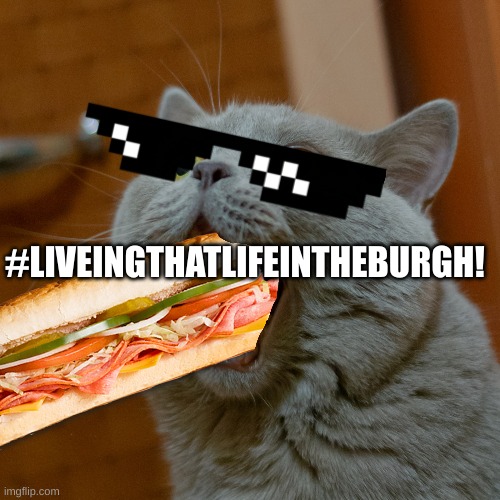 Living Life In The Burgh! | #LIVEINGTHATLIFEINTHEBURGH! | image tagged in cats,funny cats,funny cat memes,cat | made w/ Imgflip meme maker