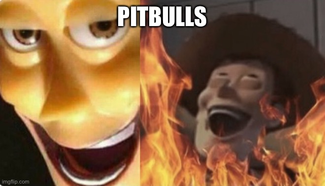 Satanic woody (no spacing) | PITBULLS | image tagged in satanic woody no spacing | made w/ Imgflip meme maker