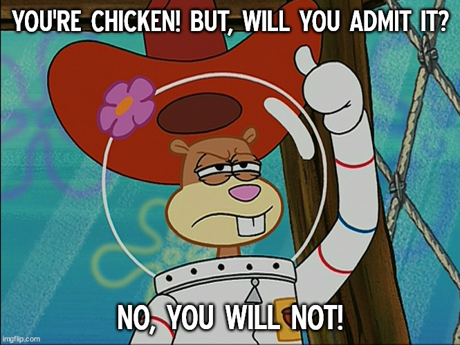 Chicken, but will not admit it |  YOU'RE CHICKEN! BUT, WILL YOU ADMIT IT? NO, YOU WILL NOT! | image tagged in sandy cheeks,memes,sandy cheeks cowboy hat,tough,texas,funny | made w/ Imgflip meme maker