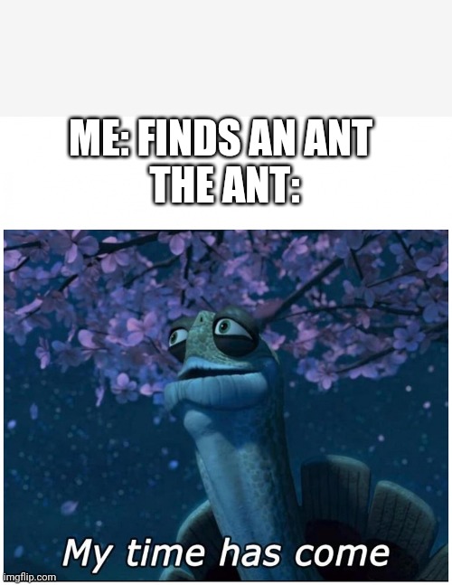 Poor ant | ME: FINDS AN ANT 

THE ANT: | image tagged in master oogway my time has come | made w/ Imgflip meme maker