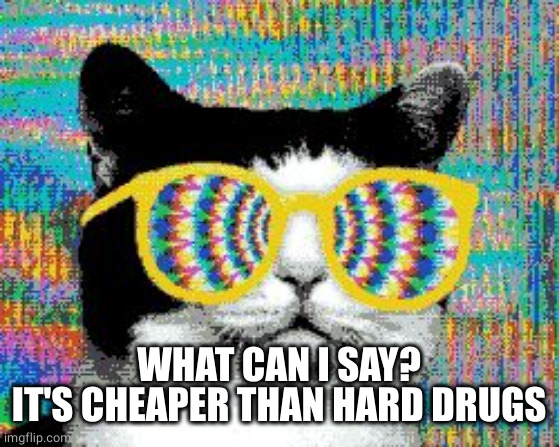 psychedelic cat | WHAT CAN I SAY?
IT'S CHEAPER THAN HARD DRUGS | image tagged in psychedelic cat | made w/ Imgflip meme maker