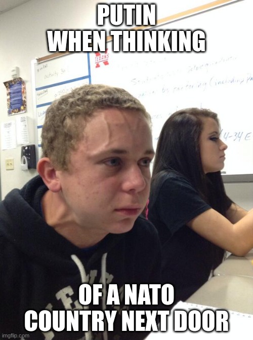 true | PUTIN WHEN THINKING; OF A NATO COUNTRY NEXT DOOR | image tagged in hold fart,putin | made w/ Imgflip meme maker