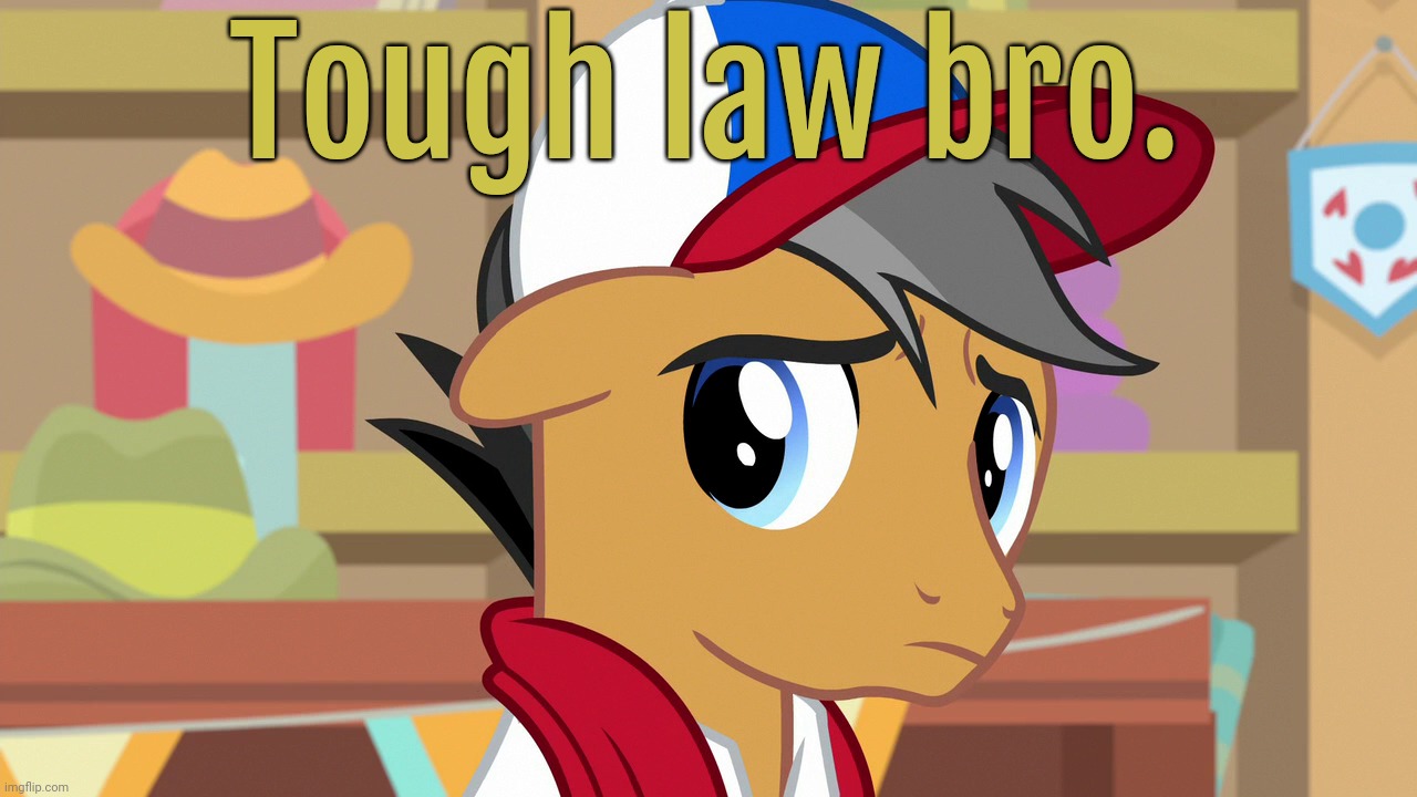 Pouty Pants (MLP) | Tough law bro. | image tagged in pouty pants mlp | made w/ Imgflip meme maker