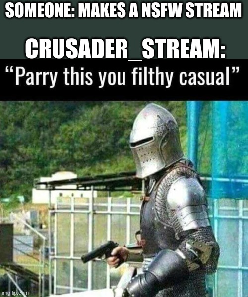 perry this | SOMEONE: MAKES A NSFW STREAM; CRUSADER_STREAM: | image tagged in perry this | made w/ Imgflip meme maker