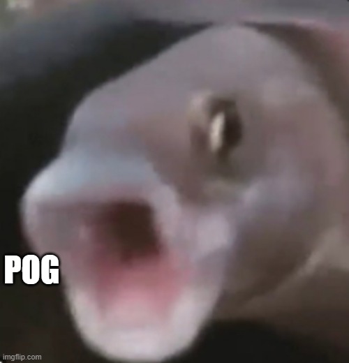 poggers 100 |  POG | image tagged in poggers fish,pog,1234567890 | made w/ Imgflip meme maker