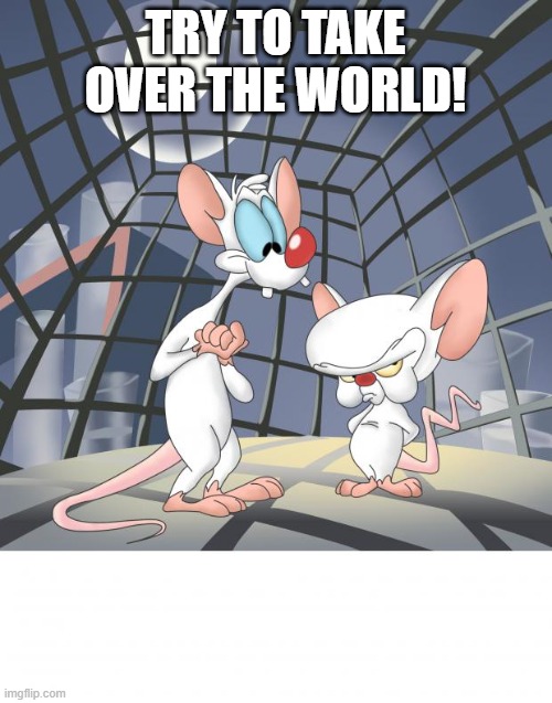 Pinky and the brain | TRY TO TAKE OVER THE WORLD! | image tagged in pinky and the brain | made w/ Imgflip meme maker
