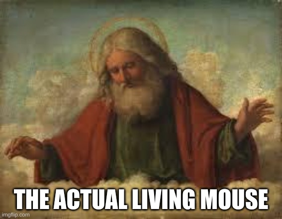 god | THE ACTUAL LIVING MOUSE | image tagged in god | made w/ Imgflip meme maker