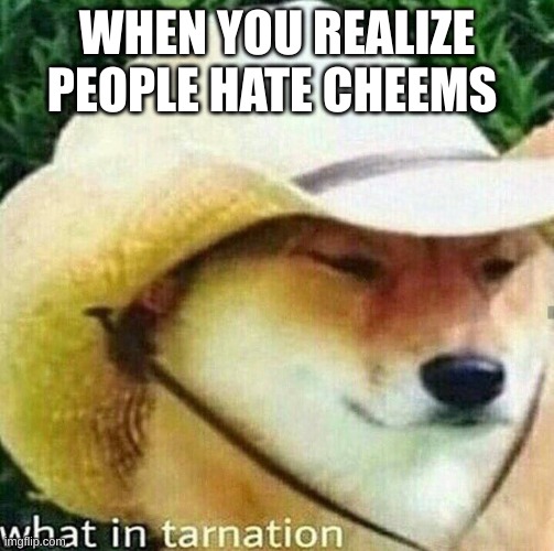 What in tarnation dog | WHEN YOU REALIZE PEOPLE HATE CHEEMS | image tagged in what in tarnation dog | made w/ Imgflip meme maker