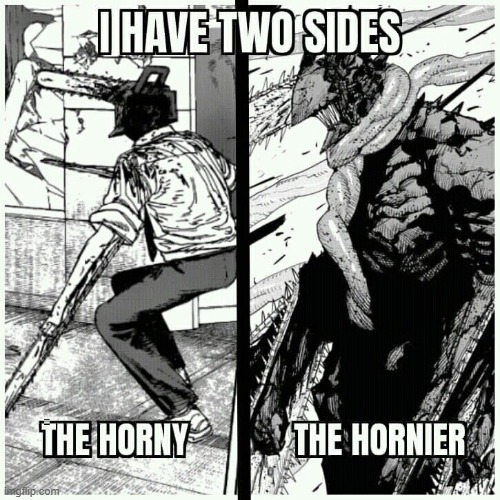 i get the 2nd side only for boys, you no whom | image tagged in chainsaw man | made w/ Imgflip meme maker