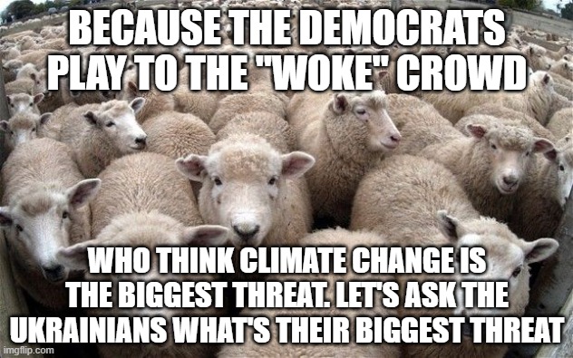 sheeple | BECAUSE THE DEMOCRATS PLAY TO THE "WOKE" CROWD WHO THINK CLIMATE CHANGE IS THE BIGGEST THREAT. LET'S ASK THE UKRAINIANS WHAT'S THEIR BIGGEST | image tagged in sheeple | made w/ Imgflip meme maker