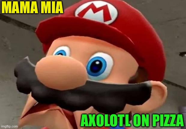 Mario WTF | MAMA MIA AXOLOTL ON PIZZA | image tagged in mario wtf | made w/ Imgflip meme maker