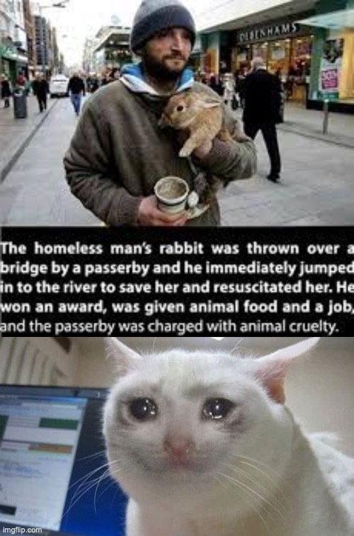 a touching story | image tagged in crying cat,homeless | made w/ Imgflip meme maker