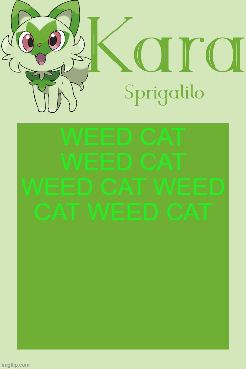 Kara Sprigatito temp | WEED CAT WEED CAT WEED CAT WEED CAT WEED CAT | image tagged in kara sprigatito temp | made w/ Imgflip meme maker