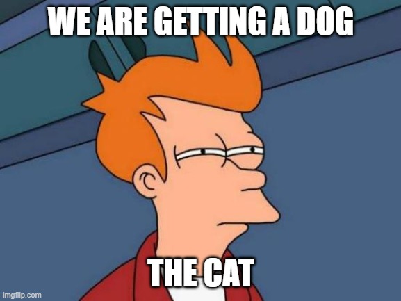 when the cat hears you say 'we are getting a dog' | WE ARE GETTING A DOG; THE CAT | image tagged in memes,futurama fry | made w/ Imgflip meme maker