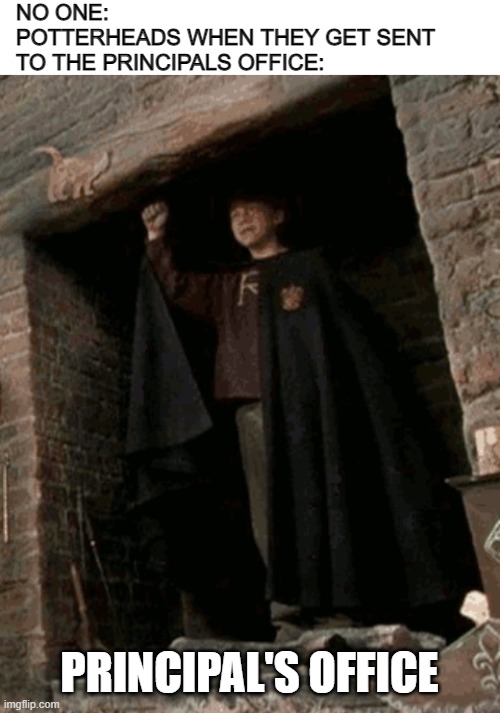 Potterhead's in a nutshell | NO ONE: 
POTTERHEADS WHEN THEY GET SENT TO THE PRINCIPALS OFFICE:; PRINCIPAL'S OFFICE | image tagged in floo powder,harry potter,middle school | made w/ Imgflip meme maker