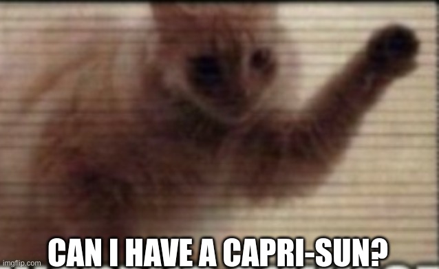 CAN I HAVE A CAPRI-SUN? | made w/ Imgflip meme maker