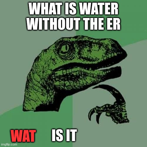 Philosoraptor Meme | WHAT IS WATER WITHOUT THE ER; WAT; IS IT | image tagged in memes,philosoraptor | made w/ Imgflip meme maker