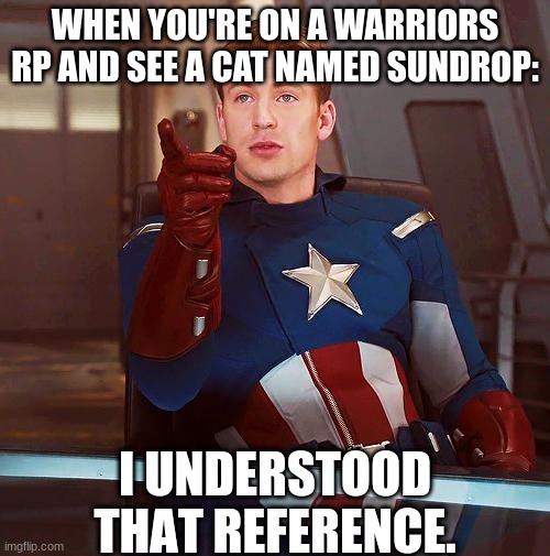 True Story | WHEN YOU'RE ON A WARRIORS RP AND SEE A CAT NAMED SUNDROP: | image tagged in captain america i understood that reference,warriors,roleplaying,fnaf | made w/ Imgflip meme maker