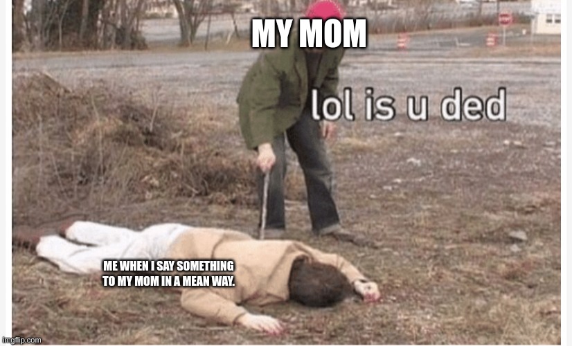 mom | MY MOM; ME WHEN I SAY SOMETHING TO MY MOM IN A MEAN WAY. | image tagged in lol is u ded,lol,ded | made w/ Imgflip meme maker