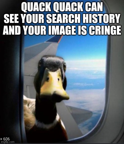 quack | QUACK QUACK CAN SEE YOUR SEARCH HISTORY AND YOUR IMAGE IS CRINGE | image tagged in quack | made w/ Imgflip meme maker