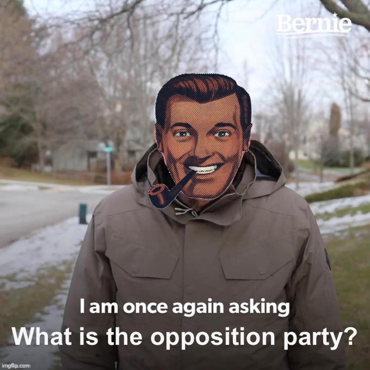 The Opposition Party | What is the opposition party? | image tagged in the opposition party | made w/ Imgflip meme maker