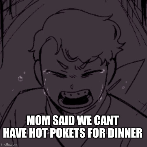 tommyinnit | MOM SAID WE CANT HAVE HOT POKETS FOR DINNER | image tagged in tommyinnit | made w/ Imgflip meme maker
