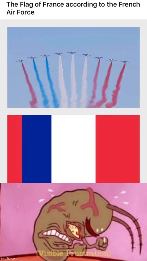 hmm | image tagged in visible frustration,you had one job,why,france,french flag,wrong | made w/ Imgflip meme maker