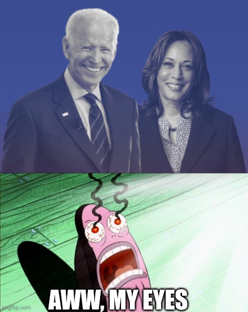 My eyes are forever in pain after looking at these 2 people | AWW, MY EYES | image tagged in biden harris 2020,spongebob my eyes | made w/ Imgflip meme maker