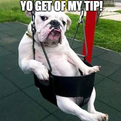 stop | YO GET OF MY TIP! | image tagged in bulldog thug,bulldog | made w/ Imgflip meme maker
