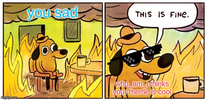 This Is Fine | you sad; who_am_i thinks your meme is cool | image tagged in memes,this is fine | made w/ Imgflip meme maker