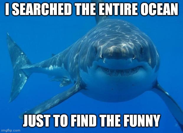 Straight White Shark | I SEARCHED THE ENTIRE OCEAN JUST TO FIND THE FUNNY | image tagged in straight white shark | made w/ Imgflip meme maker