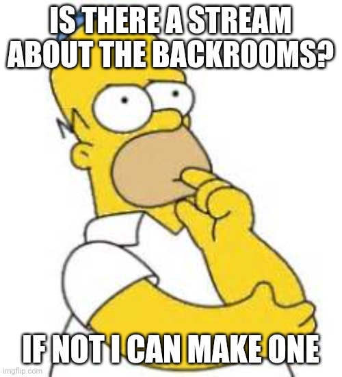 Seriously though | IS THERE A STREAM ABOUT THE BACKROOMS? IF NOT I CAN MAKE ONE | image tagged in homer simpson hmmmm | made w/ Imgflip meme maker
