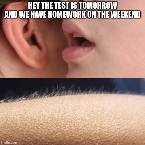 And you know I didn't study | HEY THE TEST IS TOMORROW AND WE HAVE HOMEWORK ON THE WEEKEND | image tagged in whisper and goosebumps | made w/ Imgflip meme maker