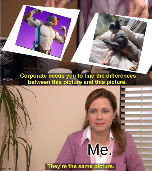 They're The Same Picture | Me. | image tagged in memes,they're the same picture,funny | made w/ Imgflip meme maker