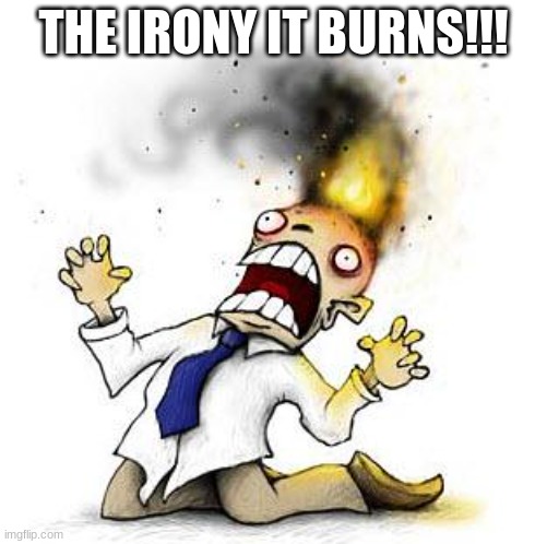 The Irony It Burns!!! | THE IRONY IT BURNS!!! | image tagged in the irony it burns | made w/ Imgflip meme maker