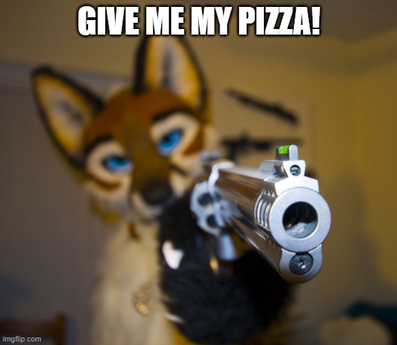 gimme the pizza and no one gets hurt | GIVE ME MY PIZZA! | image tagged in furry with gun,pizza,furry,gimme,furries,angry | made w/ Imgflip meme maker