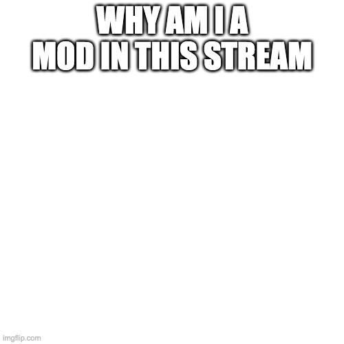 Blank Transparent Square Meme | WHY AM I A MOD IN THIS STREAM | image tagged in memes,blank transparent square | made w/ Imgflip meme maker