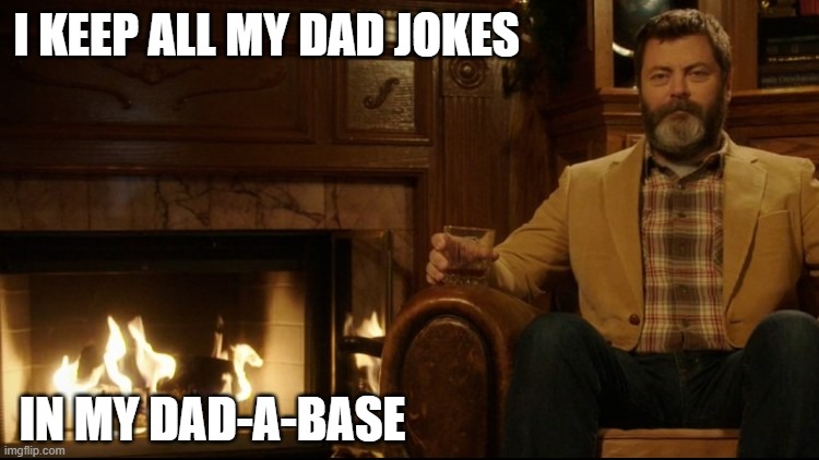 Ron Swanson Dad Jokes 2 | I KEEP ALL MY DAD JOKES; IN MY DAD-A-BASE | image tagged in ron swanson dad jokes 2 | made w/ Imgflip meme maker