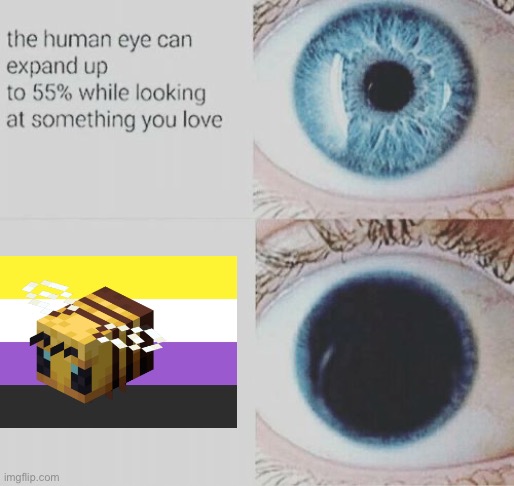 Eye pupil expand | image tagged in eye pupil expand | made w/ Imgflip meme maker