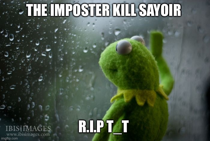 kermit window | THE IMPOSTER KILL SAYOIR R.I.P T_T | image tagged in kermit window | made w/ Imgflip meme maker