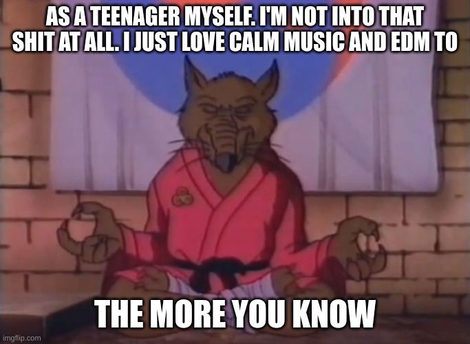 Splinter (Teenage Mutant Ninja Turtles) | AS A TEENAGER MYSELF. I'M NOT INTO THAT SHIT AT ALL. I JUST LOVE CALM MUSIC AND EDM TO THE MORE YOU KNOW | image tagged in splinter teenage mutant ninja turtles | made w/ Imgflip meme maker