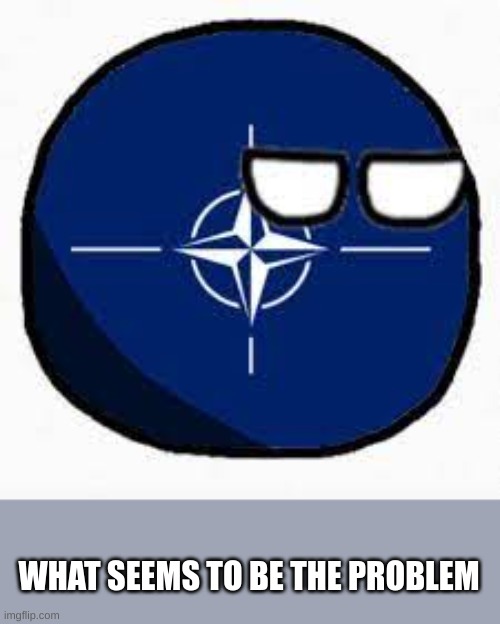 nato | WHAT SEEMS TO BE THE PROBLEM | image tagged in memes | made w/ Imgflip meme maker