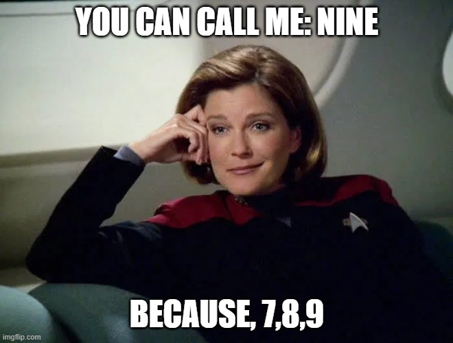 Wry Janeway | YOU CAN CALL ME: NINE; BECAUSE, 7,8,9 | image tagged in wry janeway | made w/ Imgflip meme maker