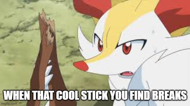 oh no | WHEN THAT COOL STICK YOU FIND BREAKS | image tagged in shocked braixen | made w/ Imgflip meme maker
